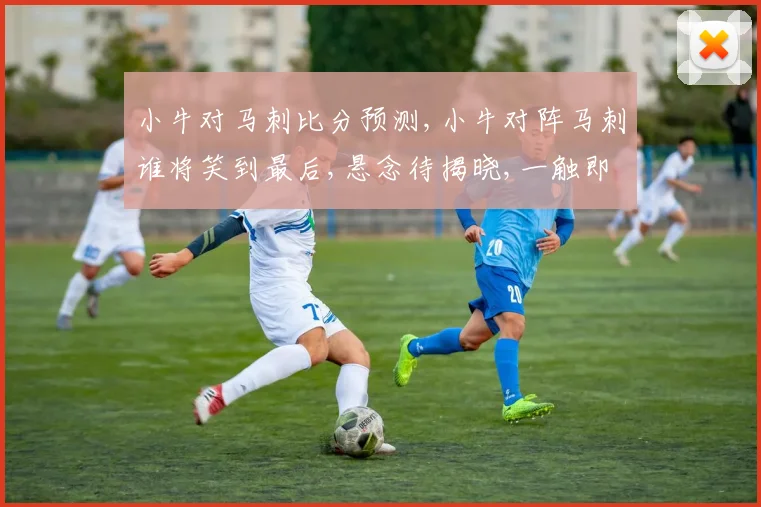小牛对马刺比分预测,小牛对阵马刺谁将笑到最后,悬念待揭晓,一触即发