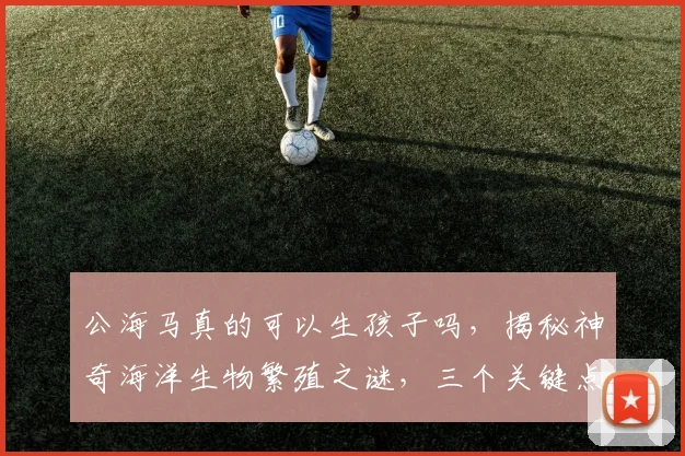 公海马真的可以生孩子吗，揭秘神奇海洋生物繁殖之谜，三个关键点揭晓