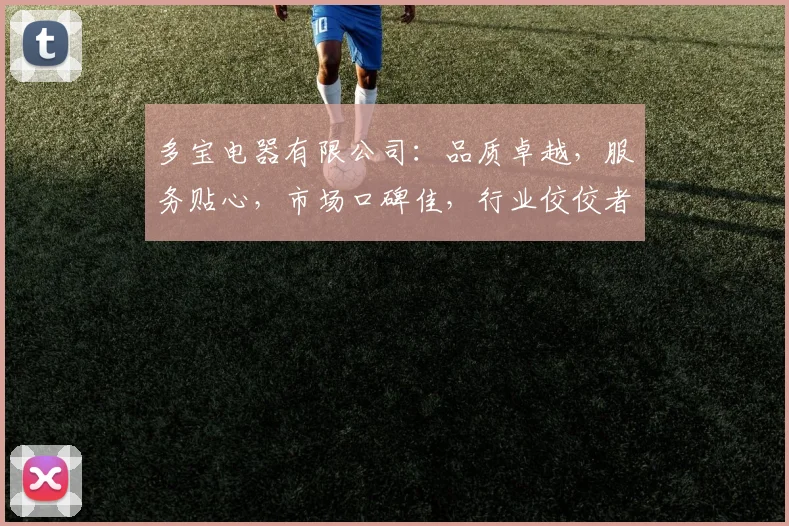 多宝电器有限公司：品质卓越，服务贴心，市场口碑佳，行业佼佼者，值得信赖。