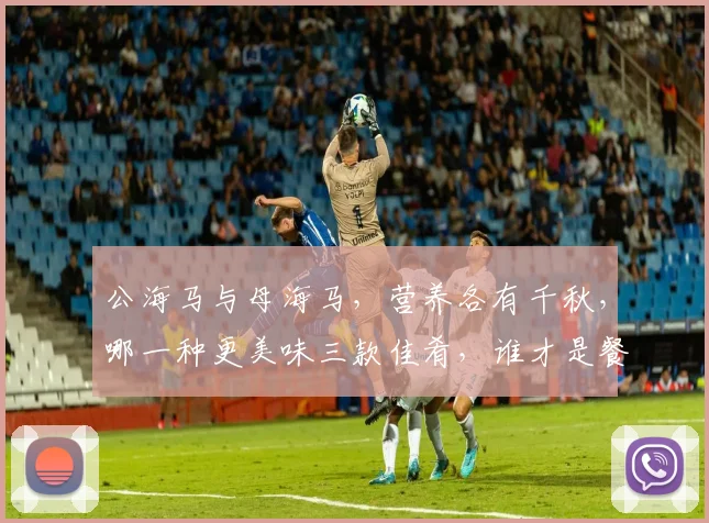 公海马与母海马，营养各有千秋，哪一种更美味三款佳肴，谁才是餐桌宠儿